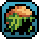 Wild Fungus Cap Icon.png